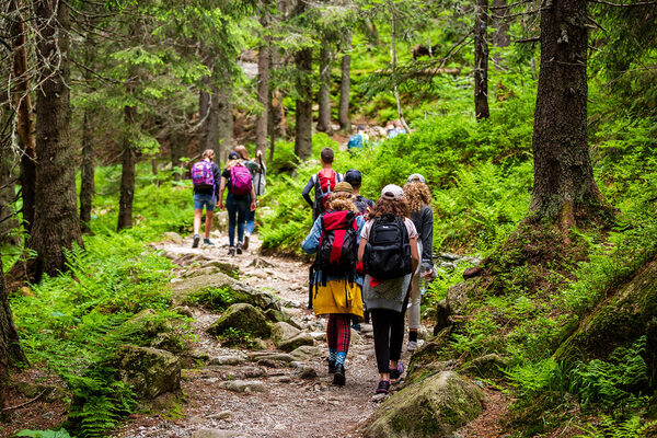 Hikers in the forest.