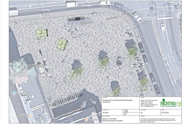 Planungsentwurf für eine Bepflanzung von einem Bahnhofsvorplatz
