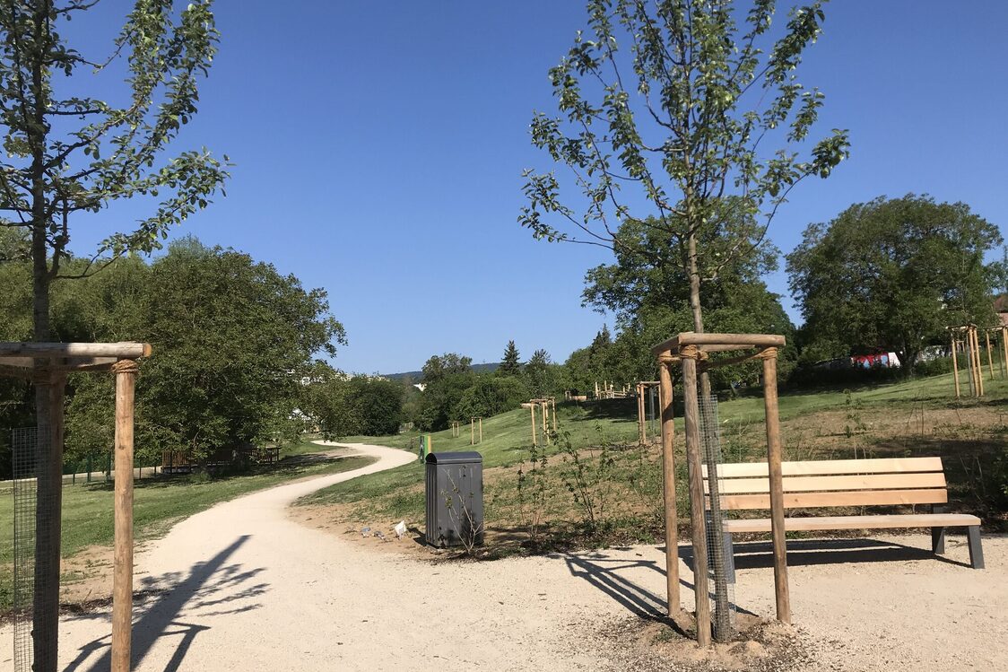 Renaturierung am Wellritzbach